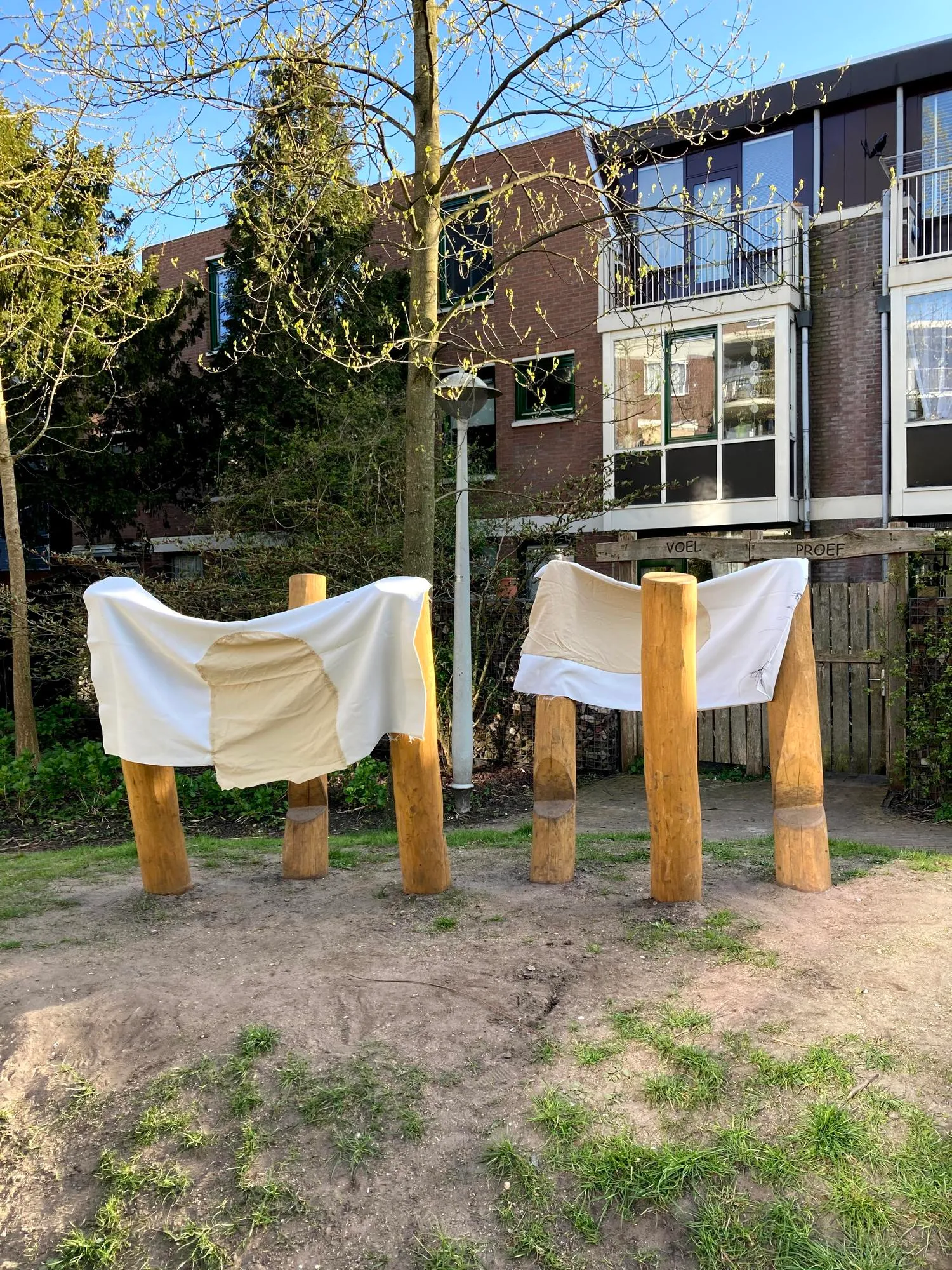 flag project